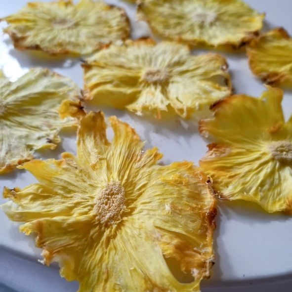 Ananas Kurusu - Görsel 2
